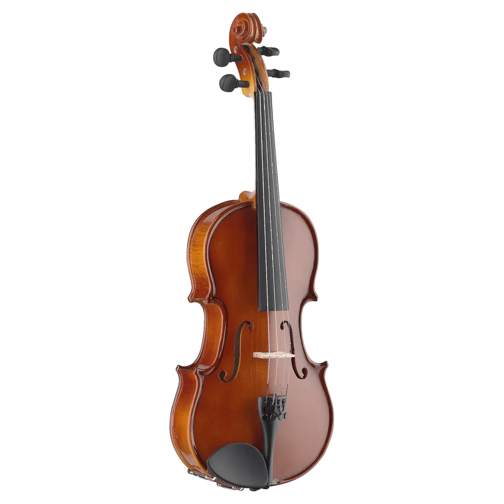 Stagg VN-4/4 viool 4/4 starterset massief esdoorn