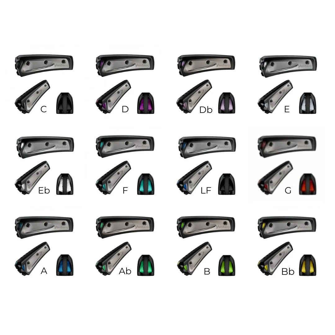 Yonberg Storm mondharmonica set 3 stuks + koffer