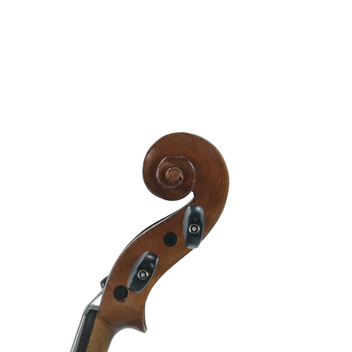 Cody Stradivarius viool 4/4 tweedehands