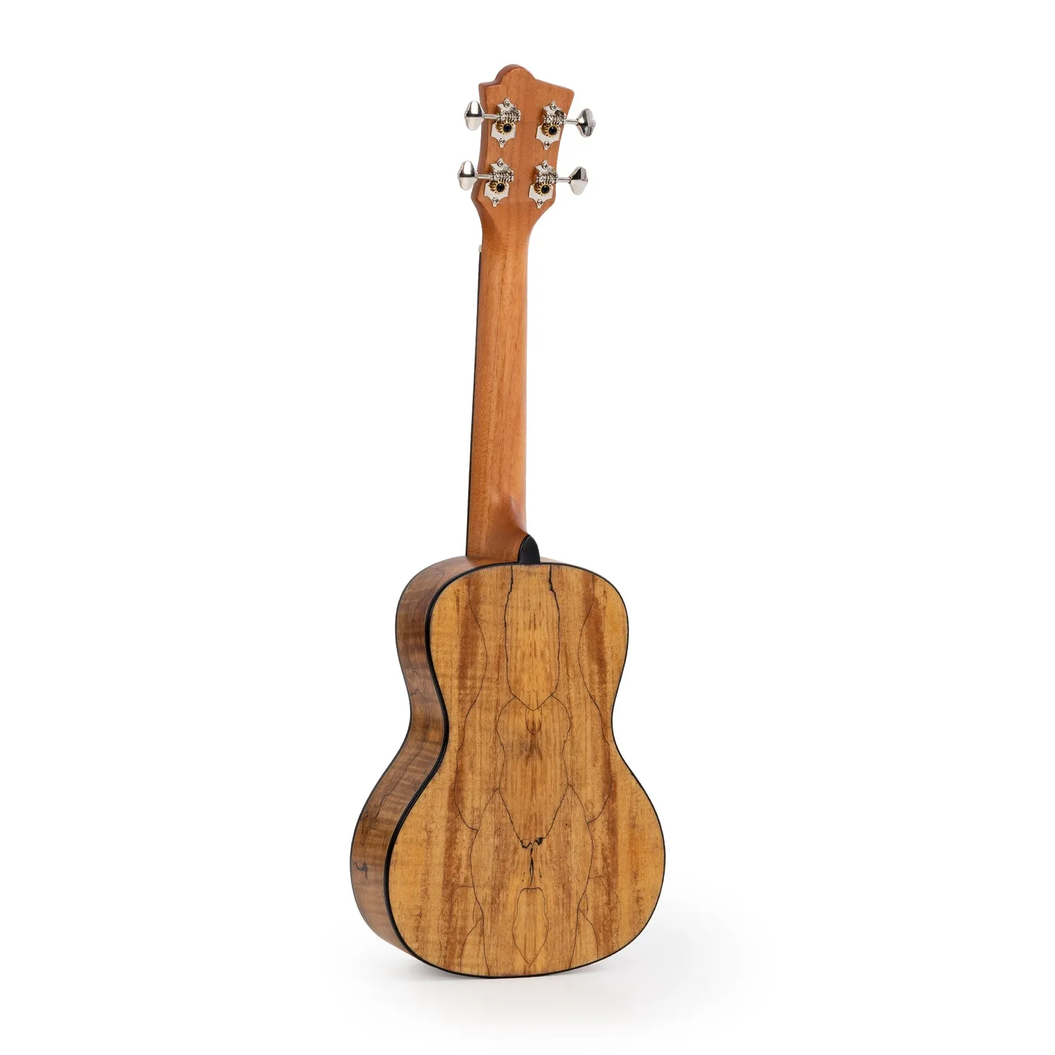 Octopus Spalted Maple concert ukelele massief bovenblad