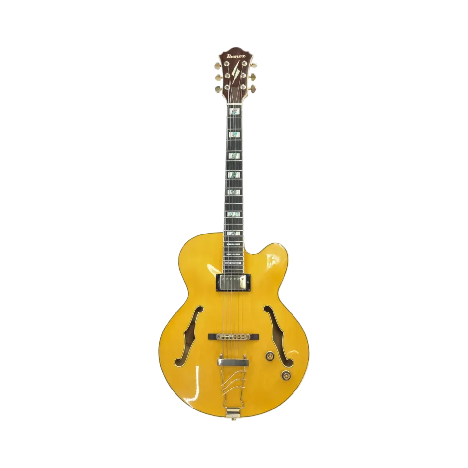 Ibanez PM2-AA Pat Metheny elektrische gitaar hollowbody pre-owned