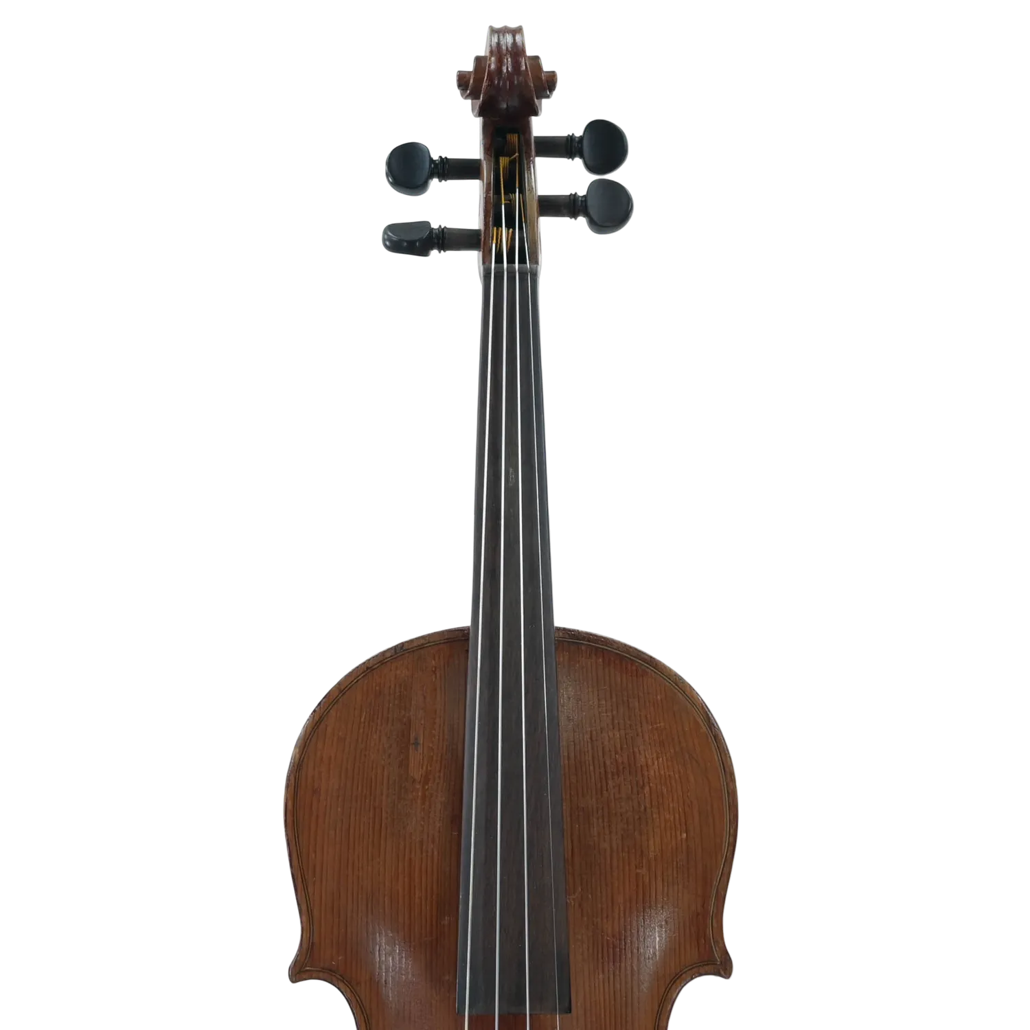 Cody Stradivarius viool 4/4 tweedehands
