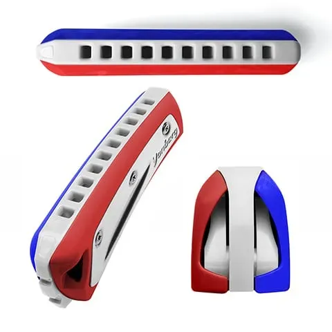 Yonberg D2 French Flag mondharmonica Gamma RVS