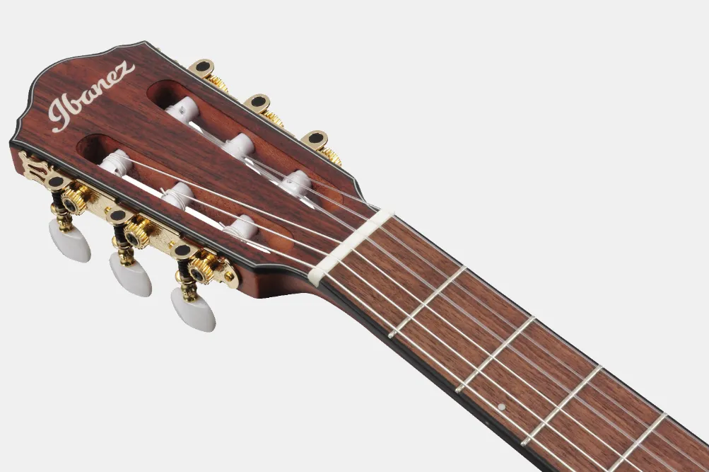 Ibanez FRH FRH10NIBF nylon gitaar thinline bruin