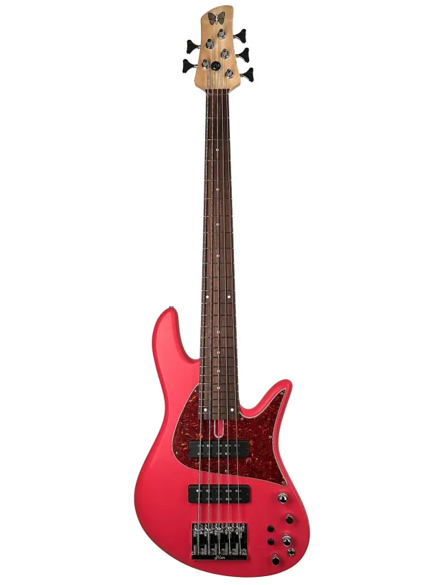 Fodera Emperor 5 Standard Classic aanbetaling 5-snarig