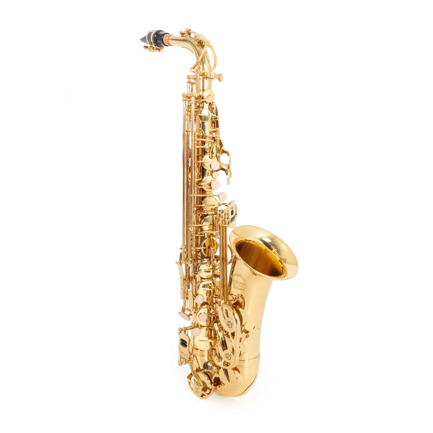 Artemis Eb alt saxofoon outfit student goudlak