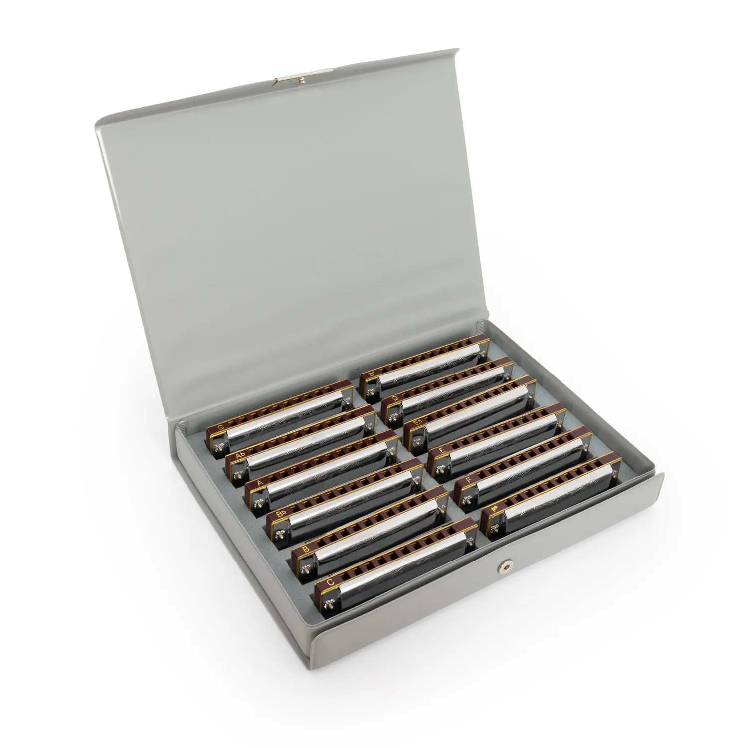 Suzuki Folkmaster mondharmonica set 12 stuks diatonisch