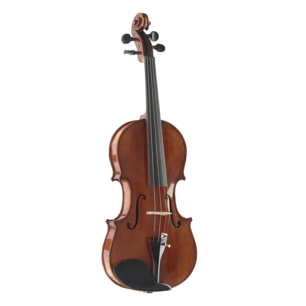 Stagg VN-4/4 HG viool starterset Deluxe 4/4 hoogglans