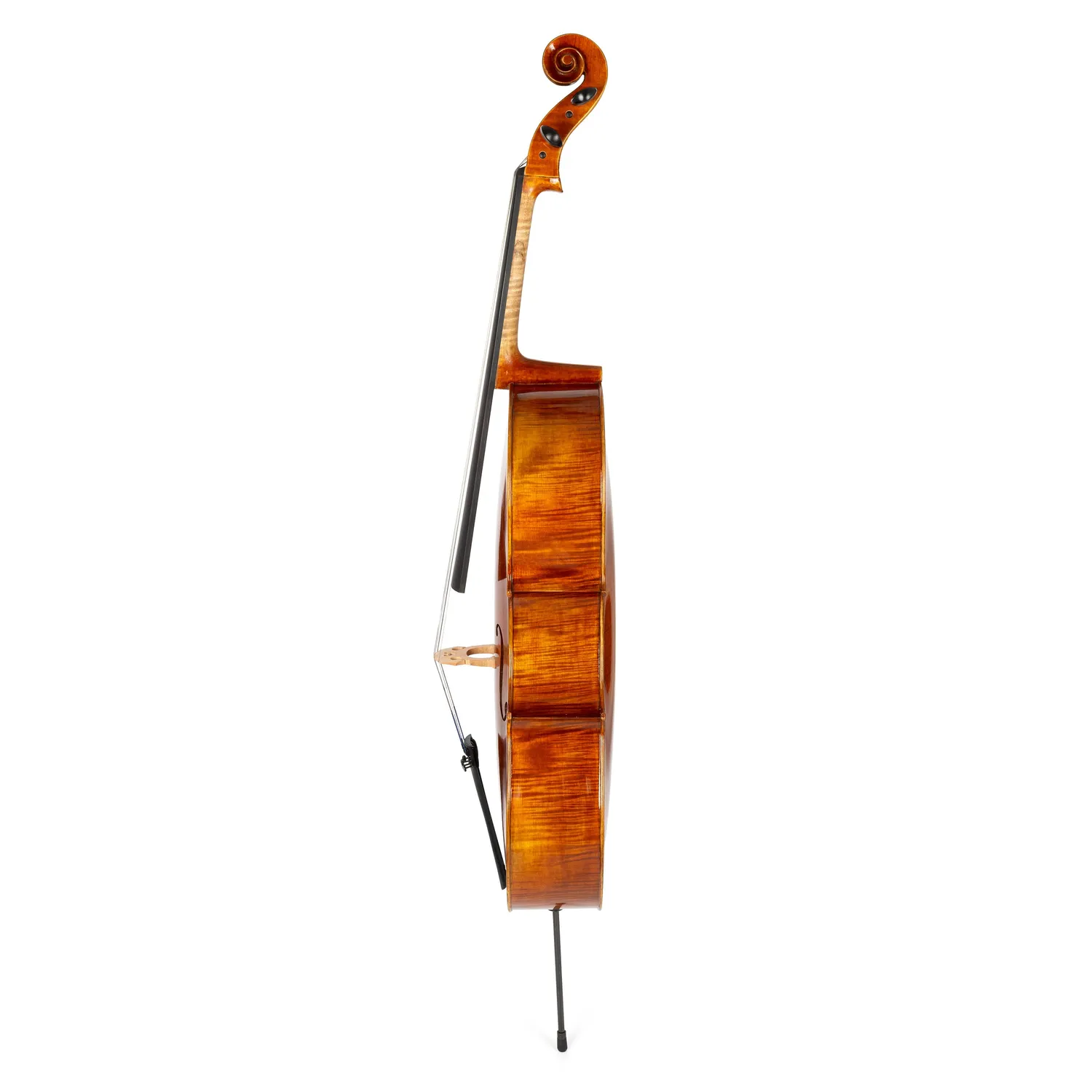 MMX 300 Student cello set 4/4 sparrenhout complete set