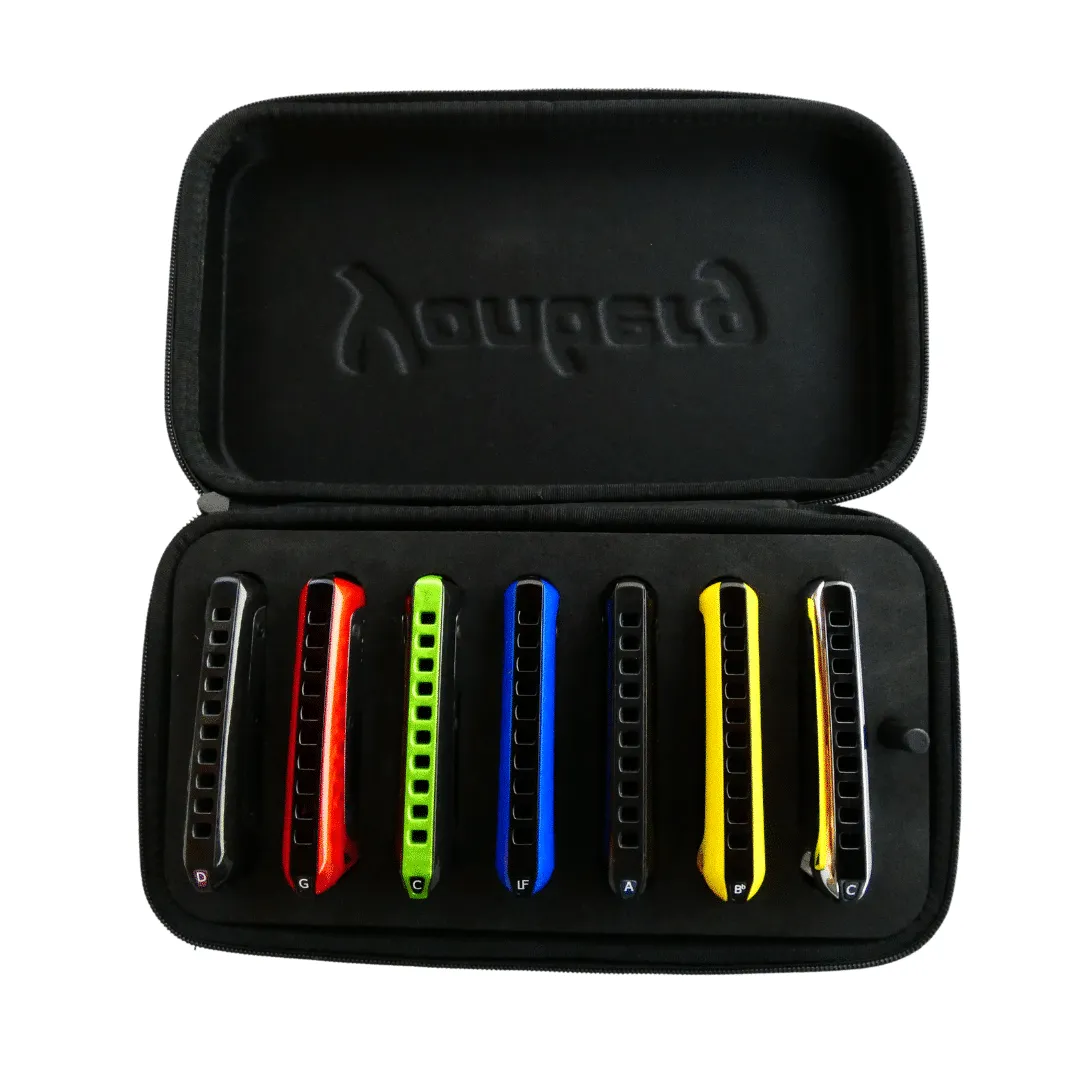 Yonberg koffer voor 7 diatonische mondharmonica's zwart