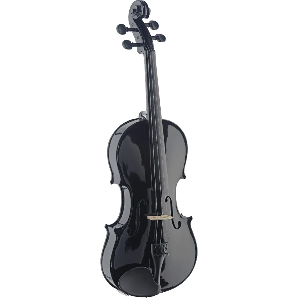 Stagg VN4/4-TBK viool starterset 4/4 zwart compleet