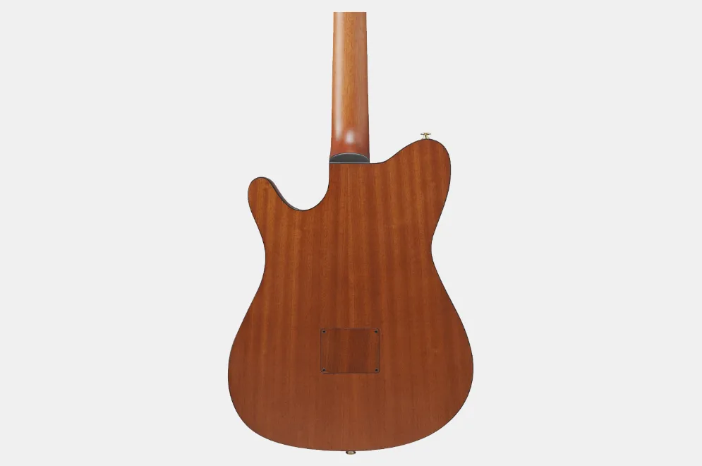 Ibanez FRH FRH10NIBF nylon gitaar thinline bruin