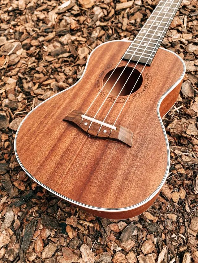 Plaschke ukulele-bouwworkshop Lagundo zelfbouw 9 okt