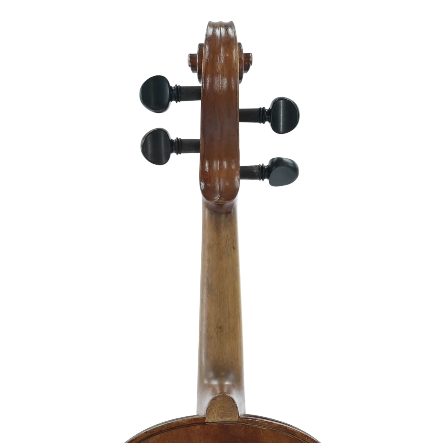 Cody Stradivarius viool 4/4 tweedehands