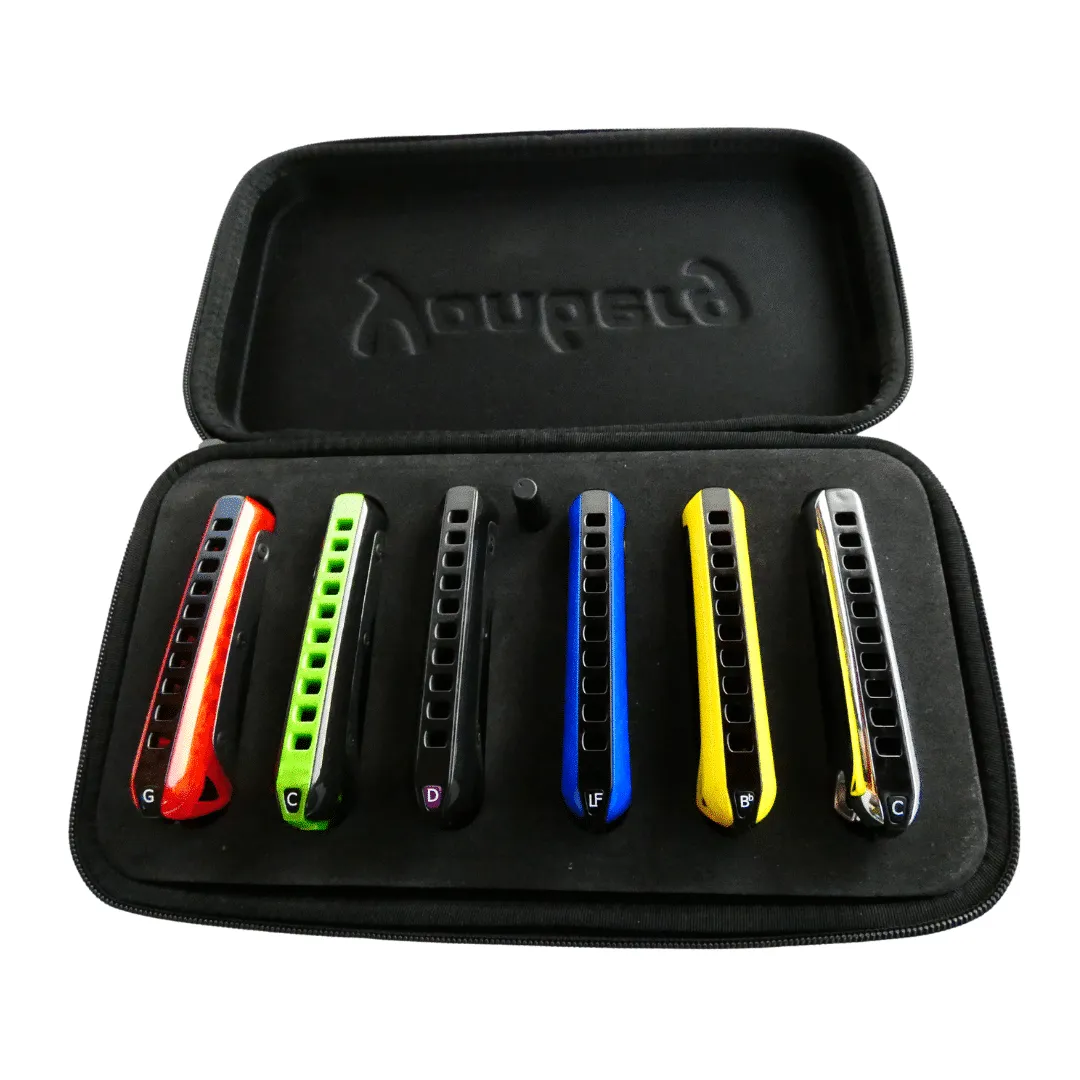 Yonberg koffer voor 6 diatonische mondharmonica's zwart