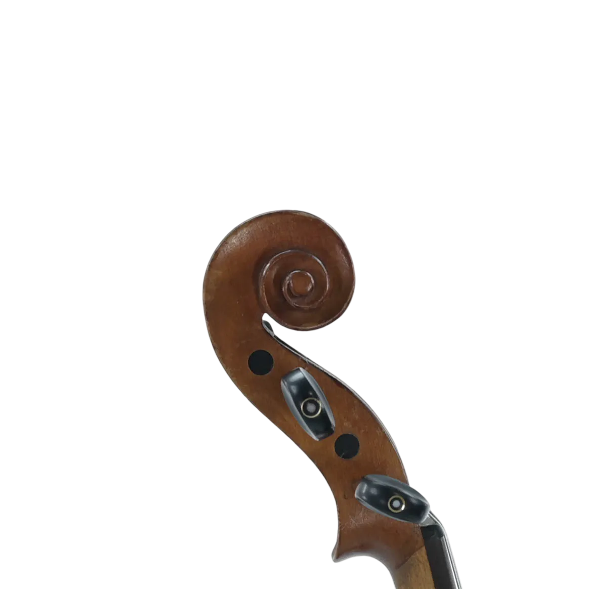 Cody Stradivarius viool 4/4 tweedehands