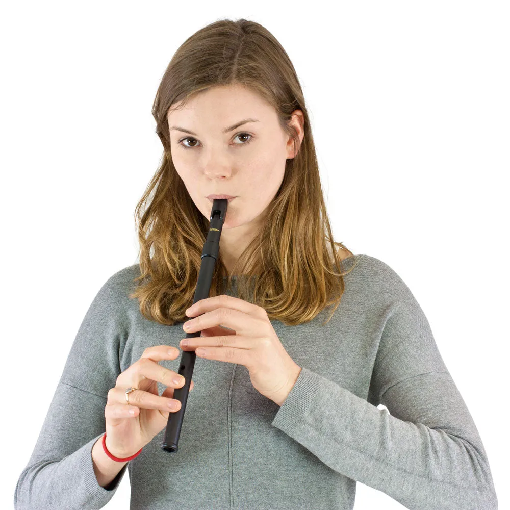 Recorder Workshop 921C tin whistle in C ABS