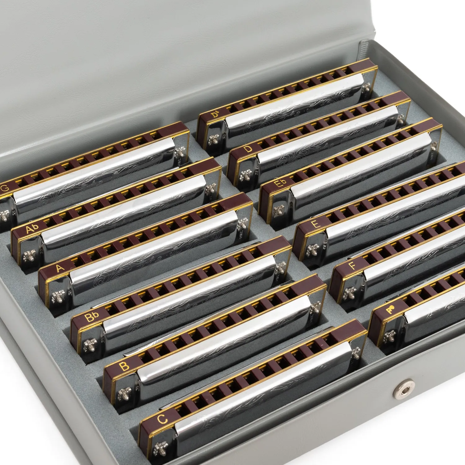 Suzuki Folkmaster mondharmonica set 12 stuks diatonisch