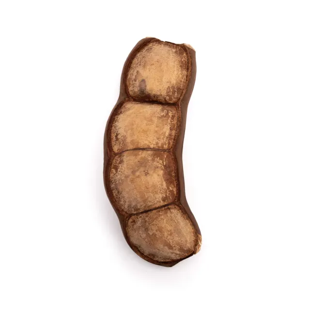 Percussion Plus Honestly Made Monkey Ladder ratel hout