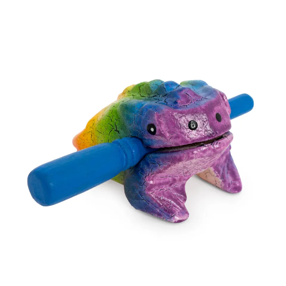 Percussion Plus Honestly Made kikker guiro mini regenboog